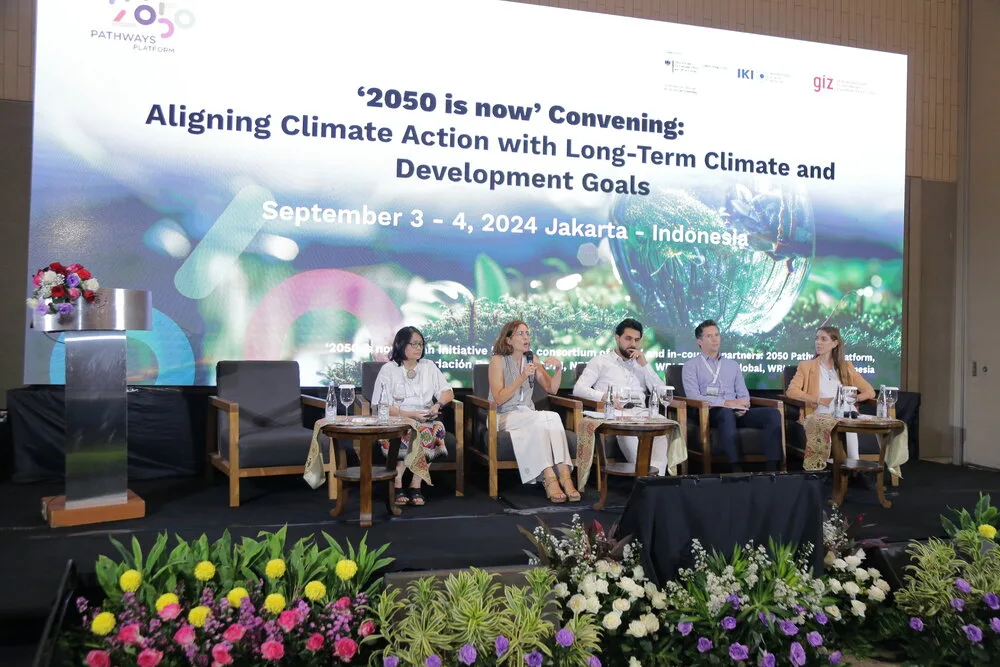 '2050 IS NOW' CONVENING: ALIGNING CLIMATE ACTION WITH LONG TERM CLIMATE AND DEVELOPMENT GOALS